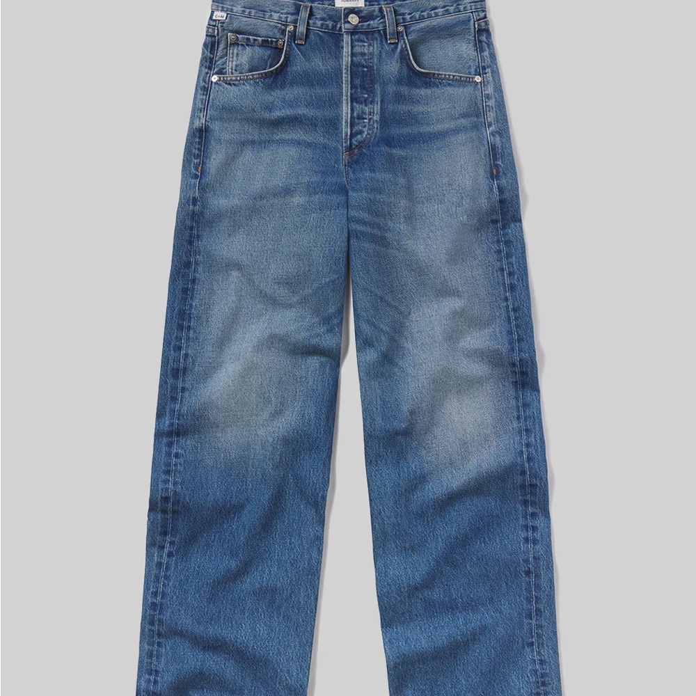 Citizen Ayla Jeans in Chaya Size 24